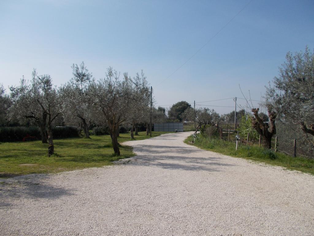 Casa Degli Ulivi Otel Tivoli Dış mekan fotoğraf