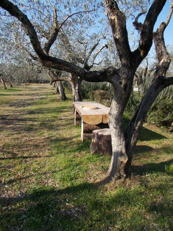 Casa Degli Ulivi Otel Tivoli Dış mekan fotoğraf