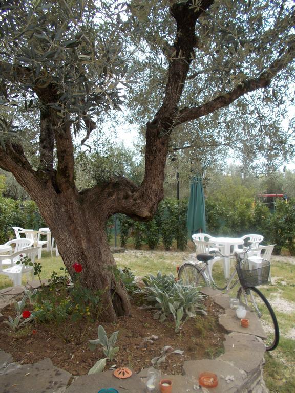 Casa Degli Ulivi Otel Tivoli Dış mekan fotoğraf